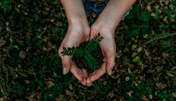 reutilizar los envases para mejorar el medio ambiente