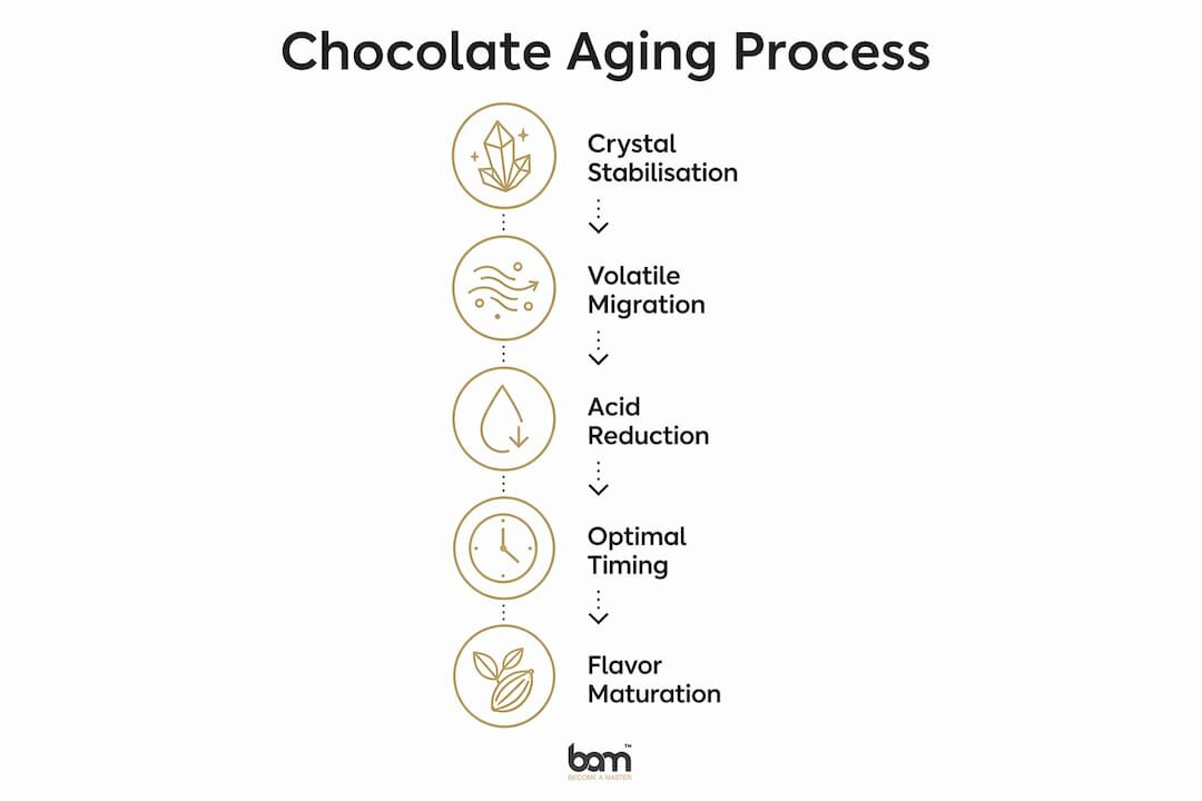 Infografía que muestra las etapas del proceso de maduración del chocolate
