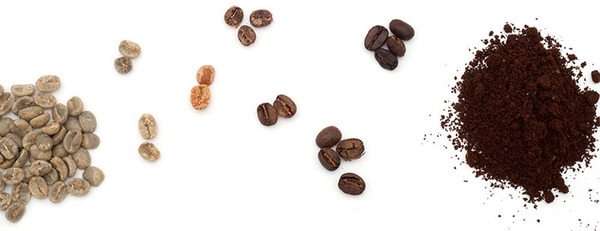 la larga evolución del chocolate