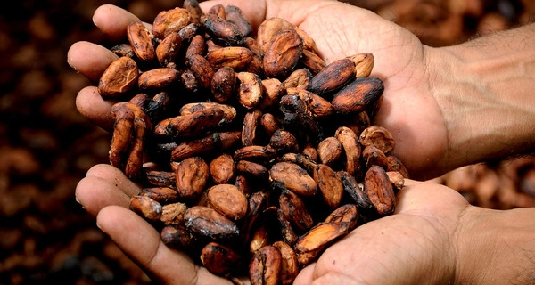¿de verdad se acabará pronto el chocolate