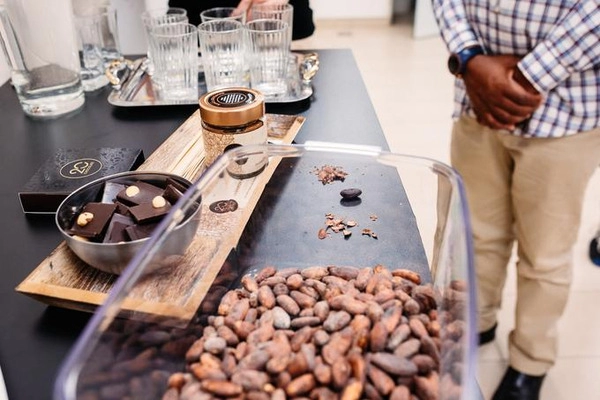 20 chocolates: el chocolate que le encantará al primer bocado