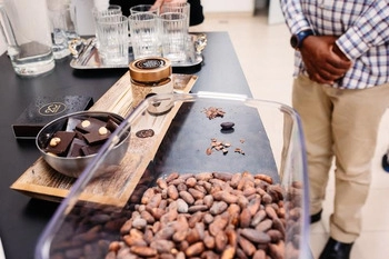20 chocolates: el chocolate que le encantará al primer bocado