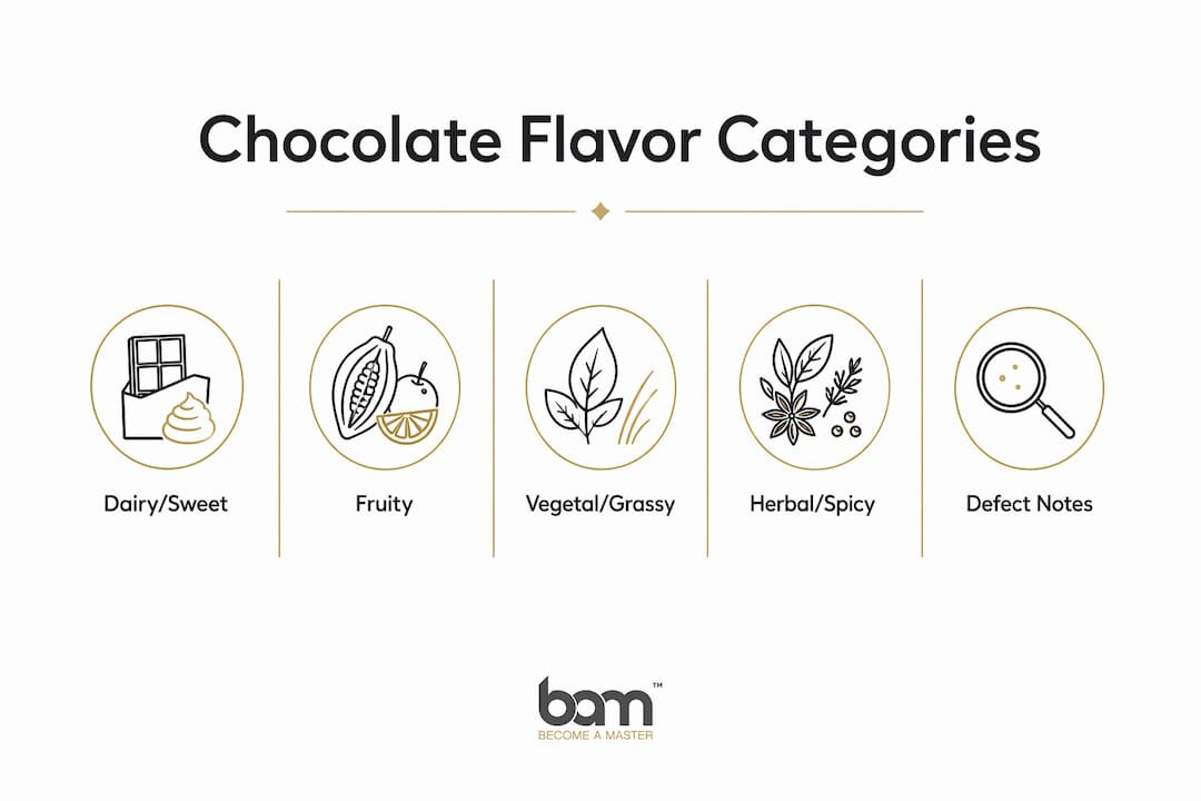 Infografía que muestra las categorías de sabores de chocolate en una jerarquía