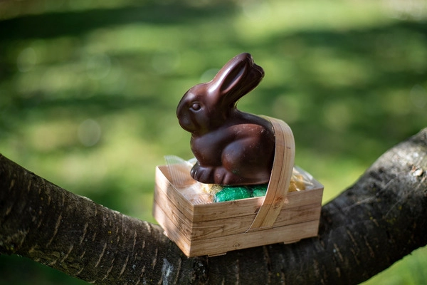 dulces de chocolate de pascua